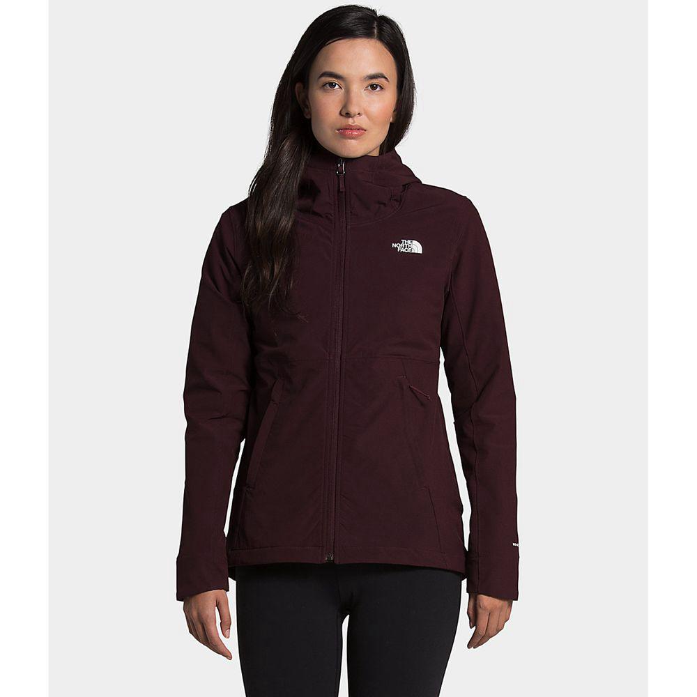 The North Face Shelbe Raschel Γυναικεια Φούτερ Hoodie - Καφε (RZIN13508)